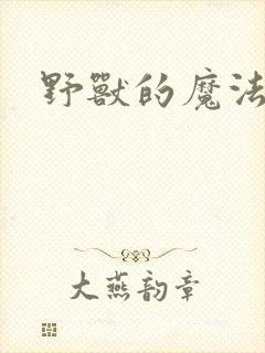 野兽的魔法师封面