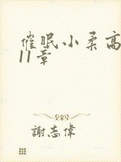 催眠小柔高达第11章