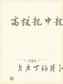高校龙中龙
