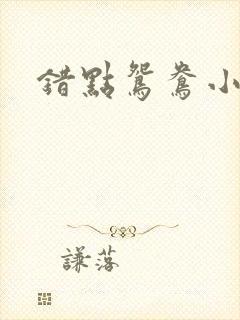 错点鸳鸯小说