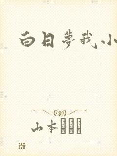 白日梦我小说