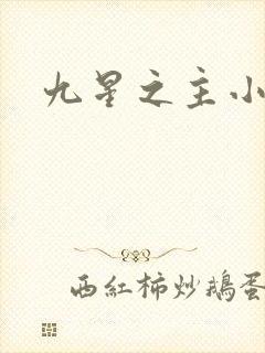 九星之主小说