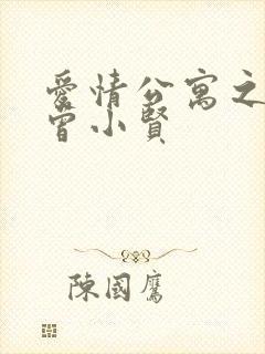 爱情公寓之极品曾小贤封面