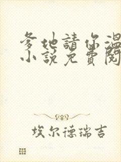 爹地请你温柔点小说免费阅读