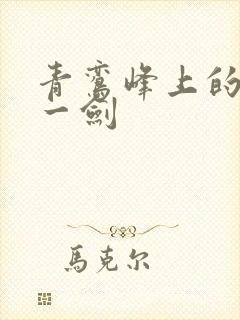 青鸾峰上的我有一剑