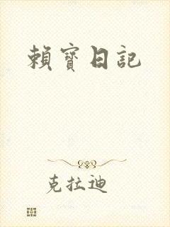 赖宝日记封面
