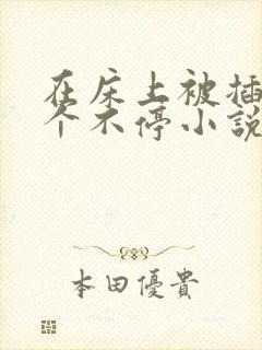 在床上被插的叫个不停小说封面