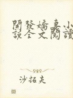 开发娇妻小楠小说全文阅读最新章节封面