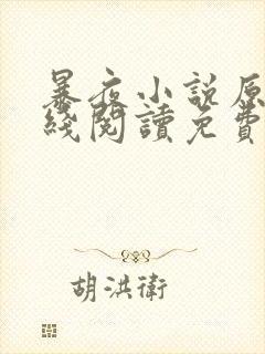 暴夜小说原著在线阅读免费封面