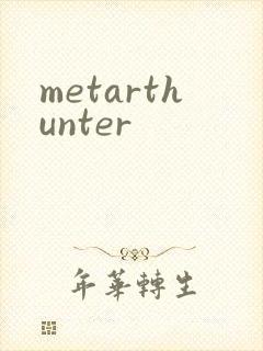 metarthunter封面