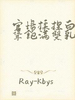 官场揉捏白嫩高耸饱满双乳小说