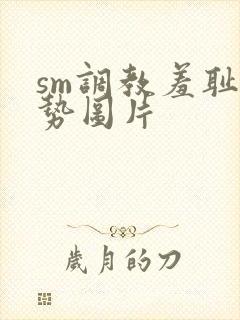 sm调教羞耻姿势图片封面