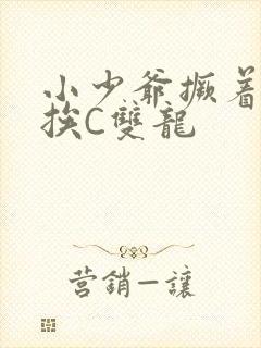 小少爷撅着屁股挨C双龙