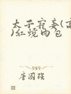 太子宠妾(高肉)红烧肉包