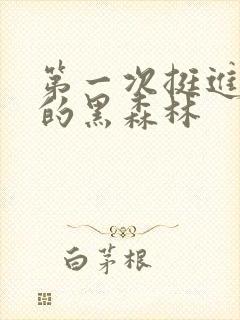 第一次挺进麻麻的黑森林