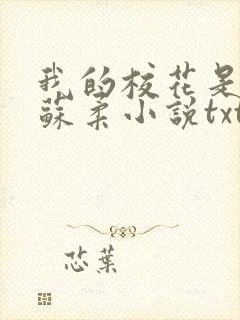 我的校花是福姬苏柔小说txt