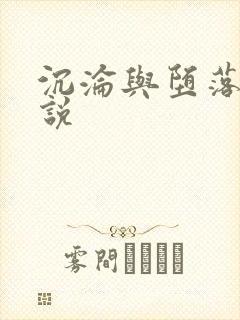 沉沦与堕落的小说封面