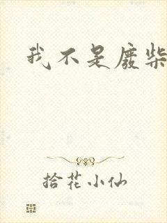 我不是废柴封面