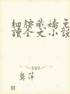 细腰藏娇免费阅读全文小说苏珞浅