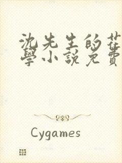 沈先生的花式教学小说免费