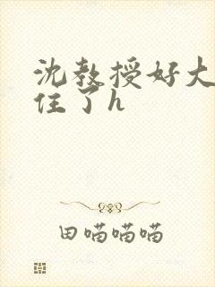 沈教授好大含不住了h