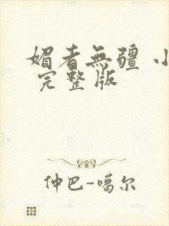 媚者无疆 小说 完整版封面