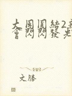 大团圆结2亲情会闪闪发光亲情会封面