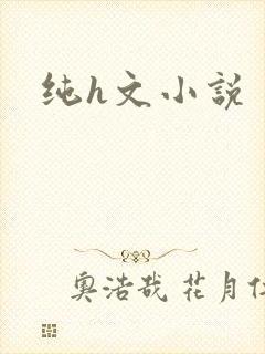纯h文小说
