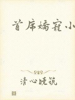 首席娇宠小情人