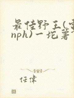 最佳野王(电竞nph)一坨薯饼