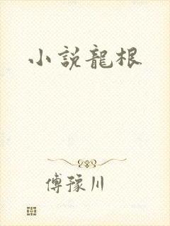 小说龙根