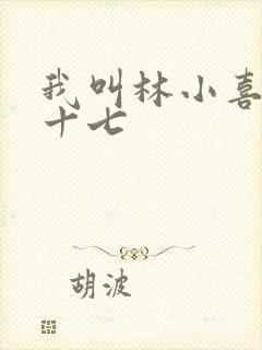 我叫林小喜今年十七封面
