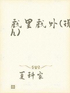 戏里戏外(现场h)