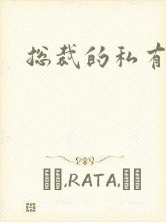 总裁的私有宝贝封面