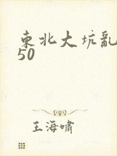 东北大坑乱1—50