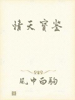 情天宝鉴封面