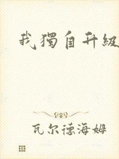 我独自升级漫画封面