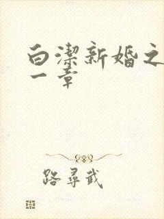 白洁新婚之夜第一章封面