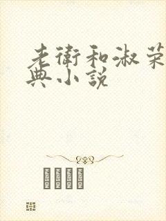 老卫和淑荣的经典小说