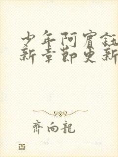 少年阿宾钰慧最新章节更新封面