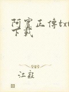 阿宾正传txt下载