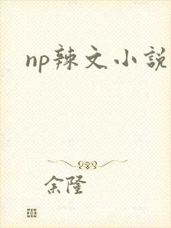 np辣文小说