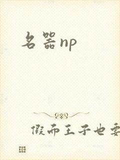 名器np封面