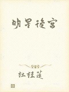 明星后宫