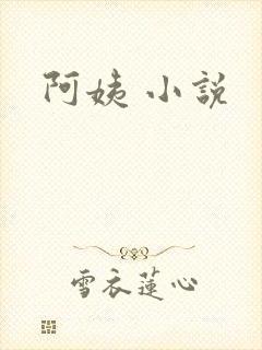 阿姨 小说
