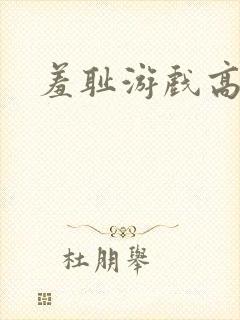 羞耻游戏高h封面