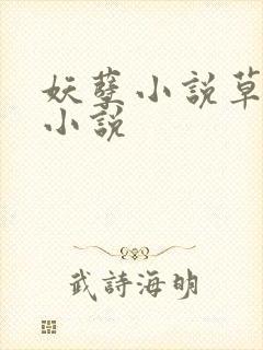 妖孽小说草莓酱小说