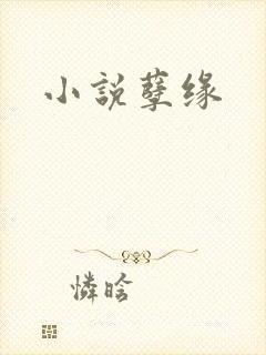 小说孽缘