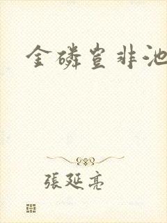 金磷岂非池中物封面
