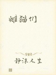 雌猫们